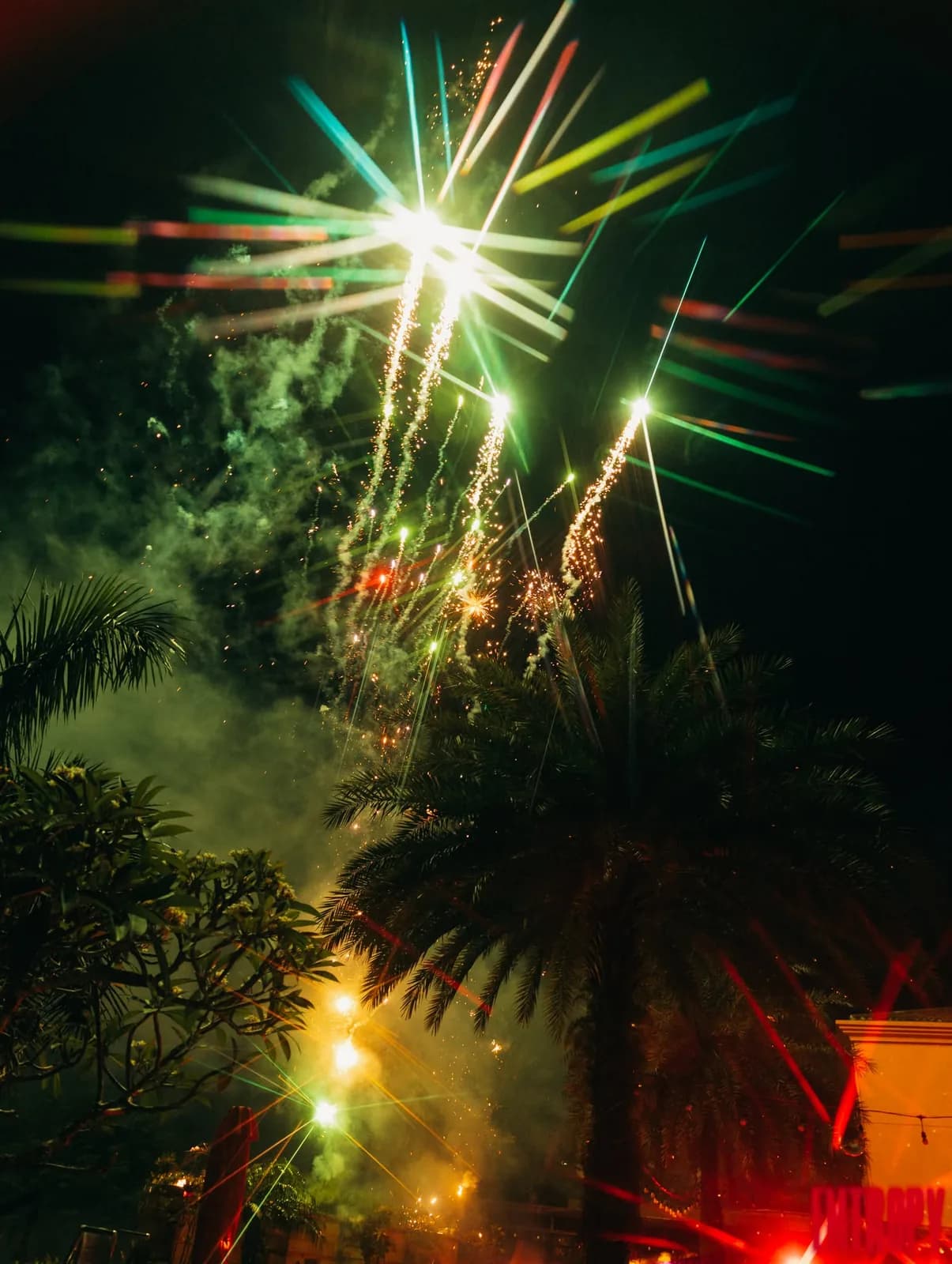 Fireworks over palm trees at the close of the night